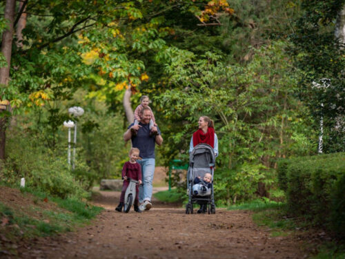 Vakantiepark Landal Het Vennenbos