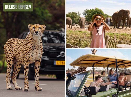 Entreeticket Safaripark Beekse Bergen